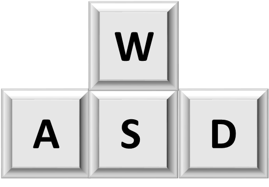 Letters w, a, s and d from keyboard 