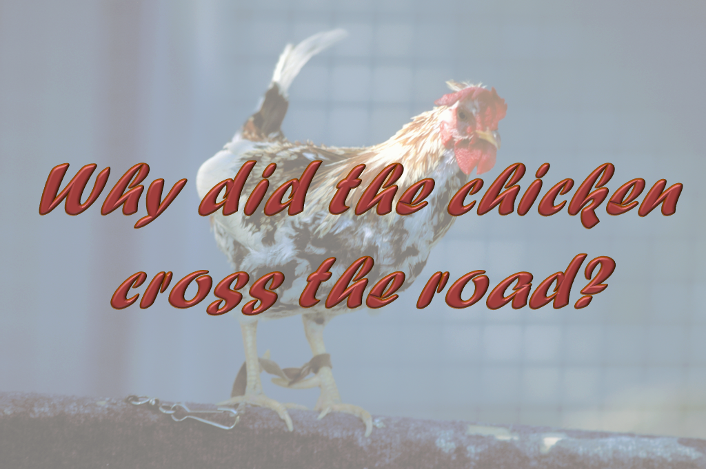 Why did the chicken cross the road